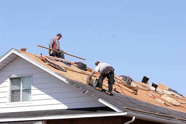 Best Green or Eco-Friendly Roofing Solutions  in Estill, SC