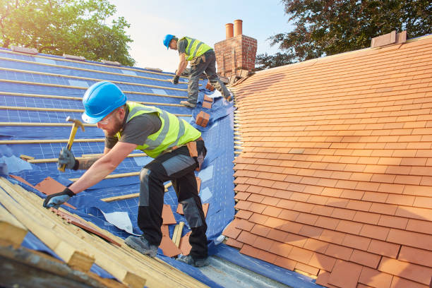 Best Roof Inspection  in Estill, SC